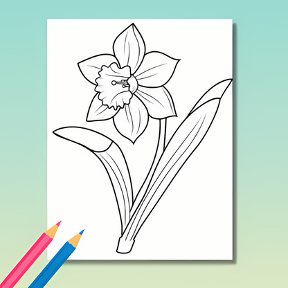 Garten Ausmalbuch: Gartenabenteuer