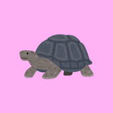 Martina R. - Erzieherin